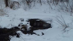   (20190227_144333.jpg, 136.17 Kb, 362 )