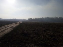   (IMG_20190424_072129.jpg, 110.09 Kb, 496 )