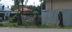   (20190707_114006_cut-photo.ru.jpg, 123.29 Kb, 665 )