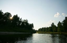   (IMG_1533.jpg, 0 Bytes, 790 )