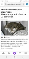   (Screenshot_20190918-061203_Yandex.jpg, 97.11 Kb, 298 )
