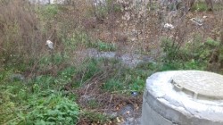   (20191020_072513.jpg, 198.17 Kb, 238 )