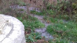   (20191020_072548.jpg, 189.33 Kb, 282 )