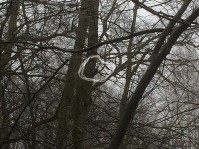   (IMG_3548e1.jpg, 149.47 Kb, 624 )