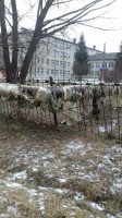   (20191221_134445.jpg, 216.78 Kb, 409 )