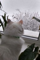   (IMG_20200101_103320443_HDR.jpg, 131.85 Kb, 417 )