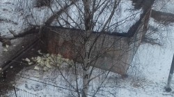   (20200119_110522.jpg, 207.97 Kb, 407 )