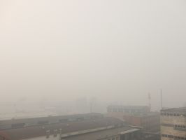   (IMG_0336.jpg, 184.88 Kb, 237 )