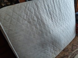   (20200325_111544.jpg, 238.47 Kb, 959 )