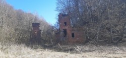   (20200502_152017.jpg, 195.48 Kb, 429 )