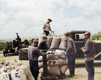   (  -Colorized (1).jpg, 133.29 Kb, 432 )