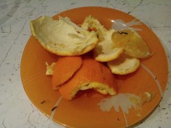   (IMG_20210215_194857.jpg, 156.61 Kb, 337 )