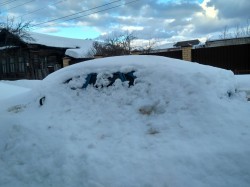   (IMG_2021-03-02_163919_HDR.jpg, 122.29 Kb, 264 )