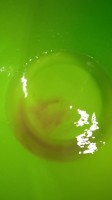   (UWP-KmAsOuM (1).jpg, 47.5 Kb, 283 )