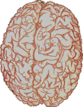   (7932968-emel7.gif, 15.94 Kb, 507 )