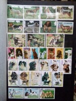   (IMG_20210605_125016.jpg, 232.6 Kb, 238 )