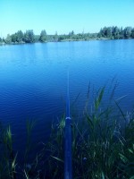   (IMG_20210620_083111.jpg, 162.95 Kb, 339 )