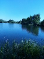   (IMG_20210620_083124.jpg, 193.03 Kb, 332 )