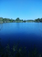   (IMG_20210620_083136.jpg, 134.04 Kb, 327 )