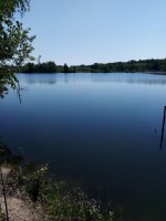  (IMG_20210620_102537.jpg, 143.48 Kb, 310 )