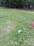   (tmp-cam-7002973600246403981.jpg, 186.13 Kb, 249 )