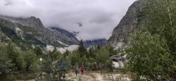   (20210724_151305.jpg, 172.79 Kb, 214 )