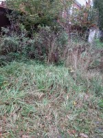   (20210927_075715.jpg, 342.43 Kb, 287 )