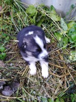   (IMG_20211109_112550.jpg, 325.85 Kb, 285 )
