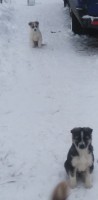   (IMG_20211215_082548.jpg, 58.89 Kb, 215 )