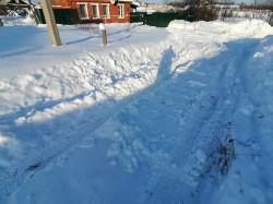   (IMG_20220113_124118.jpg, 189.36 Kb, 307 )