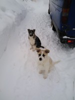   (IMG_20220118_095813.jpg, 90.23 Kb, 230 )