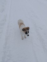   (IMG_20220212_095843.jpg, 64.4 Kb, 214 )