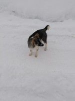   (IMG_20220212_095828.jpg, 66.1 Kb, 212 )