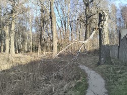   (IMG_20220421_061823.jpg, 391.1 Kb, 507 )