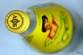   (DSC07844-1.JPG, 149.51 Kb, 793 )