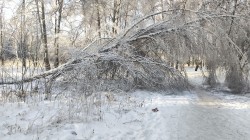   (IMG_20221204_115904.jpg, 270.93 Kb, 208 )