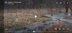   (Screenshot_20230621-075245_VK.jpg, 79.58 Kb, 173 )