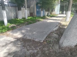   (IMG_20230722_122707.jpg, 284.16 Kb, 414 )