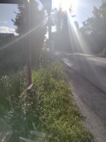   (IMG_20230808_172328.jpg, 172.46 Kb, 287 )