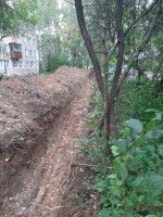   (20230910_072927.jpg, 271.09 Kb, 554 )
