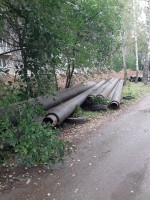   (20230910_072940.jpg, 347.9 Kb, 550 )