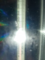   (20230919_044038.jpg, 86.19 Kb, 371 )