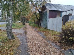   (IMG_20231007_080435.jpg, 358.29 Kb, 155 )