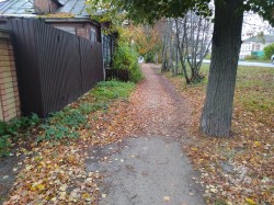   (IMG_20231006_163855.jpg, 338.38 Kb, 243 )