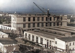   (3845.1 001-Colorized-Enhanced.jpg, 218.41 Kb, 235 )