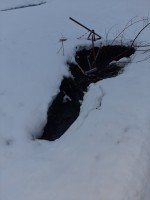   (20231221_085225.jpg, 73.49 Kb, 146 )