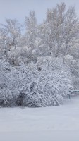   (IMG_20240101_125431.jpg, 188.13 Kb, 108 )