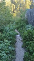   (IMG_20240905_060715.jpg, 255.79 Kb, 96 )