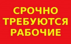   (iFRrKRQvcdI.jpg, 66.9 Kb, 7 )