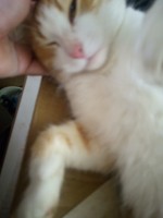   (IMG_20251101_115606_638.jpg, 80.9 Kb, 15 )